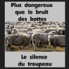 Illustration de l'actualite