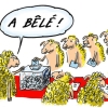 Illustration de l'actualite